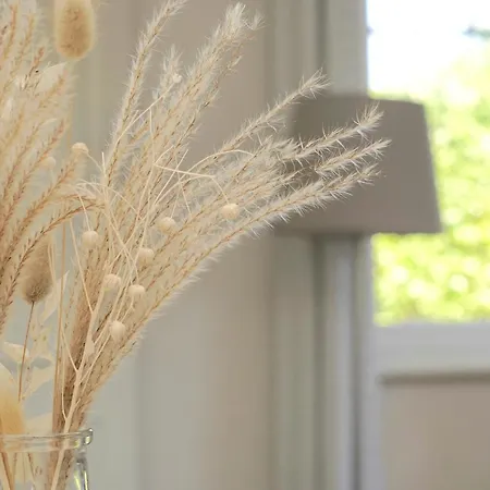 Apartament Schleistuebchen *